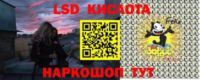 прущие грибы Пенза