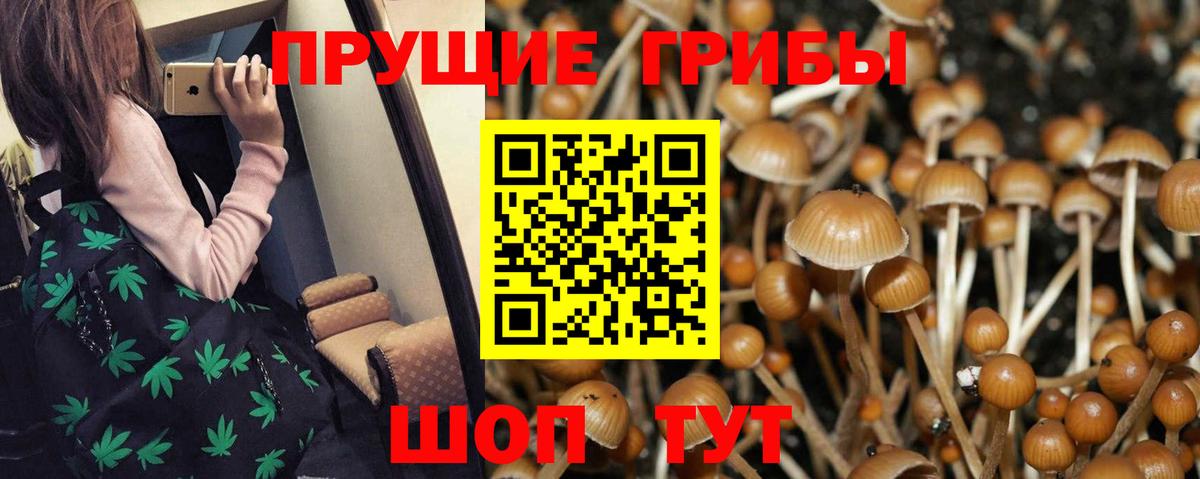 Галлюциногенные грибы прущие грибы  Вход с VPN  Сургут  Псилоцибиновые грибы Psilocybine cubensis 